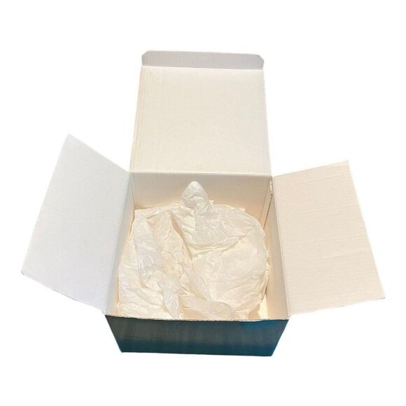 Tiffany & Co. Cube Large Gift Box w/ Tissue Paper 10”x10”x6.75” Storage READ - Picture 12 of 16